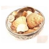 SEA SHELLS AND WHALER WALL HANGING