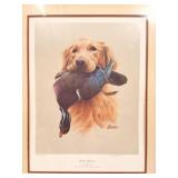 GOLDEN RETRIEVER-  BY JAMES KILLEN- DUCKS