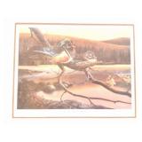 TWILIGHT SPLENDOR- WOODIES- BY DIETMAR KRUMREY-
