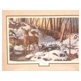 RIVER BOTTOM BUCK- BY JIM HANSEL- SIGNED,