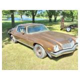 1975 CHEVROLET CAMARO TYPE LT