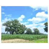 TOTAL 94.454 ACRES