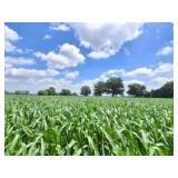 PARCEL A- 10.195 ACRES