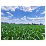 PARCEL F- 10.005 ACRES