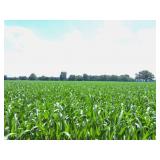 PARCEL G- 10.8 ACRES