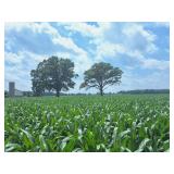 PARCEL B- 10.178 ACRES