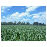 PARCEL C- 10.161 ACRES