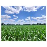 PARCEL D- 10.141 ACRES