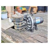 DURAGLASS POOL PUMP