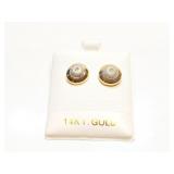 EAR RINGS DIAMONDS .06CT 3.1G