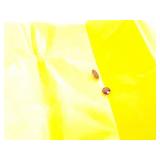 MOSC. STONE LOT, RUBY 2.3CT