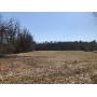30 Acres of Union County Farm & Wood Land