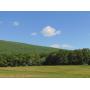 9 Acres of Union County Farm Land