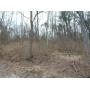 1 Acre Wooded Country Lot 