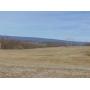 26.94 Acres of Union County Farm & Wood Land