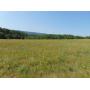 64 Acres of Union County Farm & Wood Land