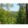 183 Acres of Centre County Woodland