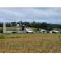 74 Acre Union County Farm