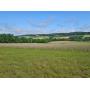 50 Acres of Northumberland County Farmland