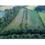 21 Acres of Snyder County Farmland
