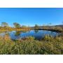 28 Acres of Centre County Farm & Woodland