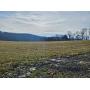 35 Acres of Northumberland County Farmland