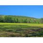 37 Acres of Farm & Woodland