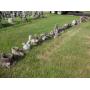 Concrete Statues Online Auction