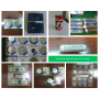 Online Coin Auction