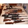 Ogle Auction