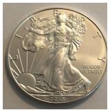 2013 American Silver Eagle Dollar