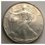 2004 American Silver Eagle