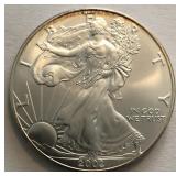 2002 American Silver Eagle