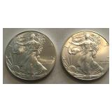 2013 & 2015 American Silver Eagles