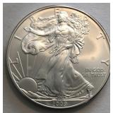 2009 American Silver Eagle