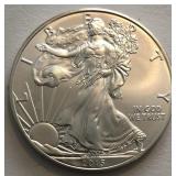 2015 American Silver Eagle