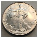 2005 American Silver Eagle
