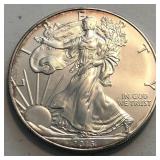 2013 American Silver Eagle
