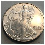 2007 American Silver Eagle