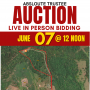 Absolute Trustee Auction - Don't Miss Out!
