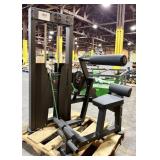 Abdominal & Lower Back Machine