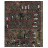 Fourteen Parcels in Prime Indianapolis Location!