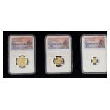 3-Coin Set, 2019 Gold Panda Coins, NGC