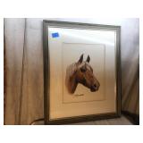 Horse Picture