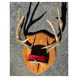 Hooved animal antler mount
