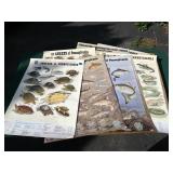 Lot of PA Fish and Boat Commission posters