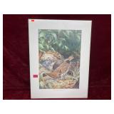 Ned Smith "Deep Woods Drummer"