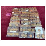 Assorted One Cent Coins