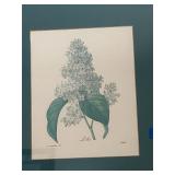 Pair of framed flower prints
