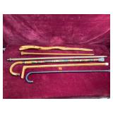 Various Walking Sticks & Canes